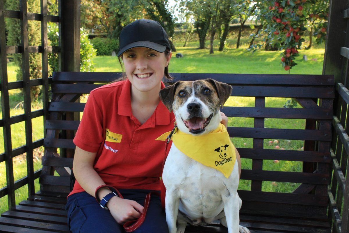 how old do you have to be to volunteer at dogs trust