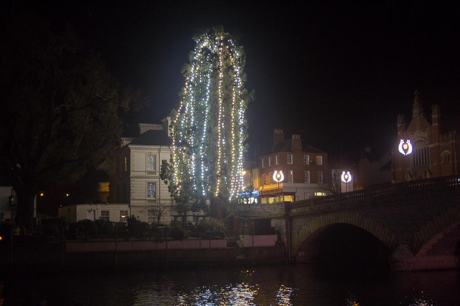 Tree of Light could help causes The Evesham Observer